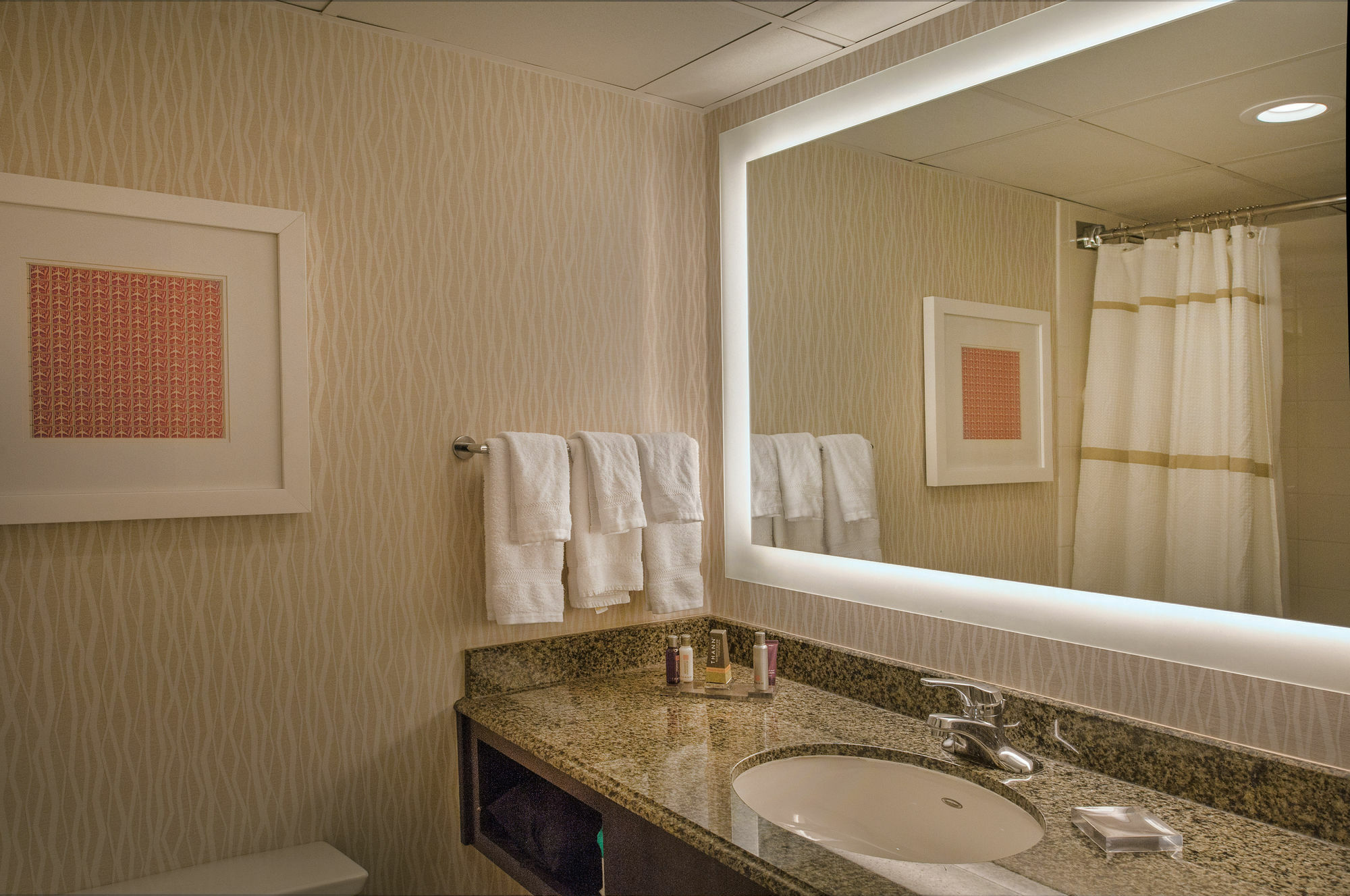 Hotel Marriott St. Louis Airport Edmundson Esterno foto
